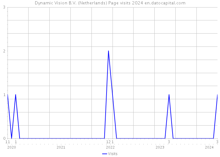Dynamic Vision B.V. (Netherlands) Page visits 2024 