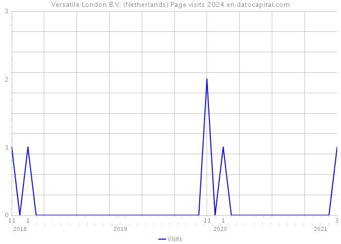 Versatile London B.V. (Netherlands) Page visits 2024 