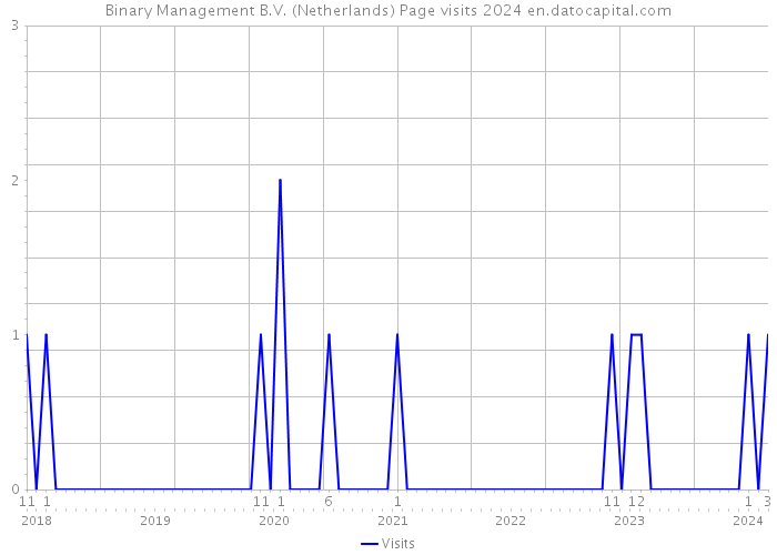 Binary Management B.V. (Netherlands) Page visits 2024 