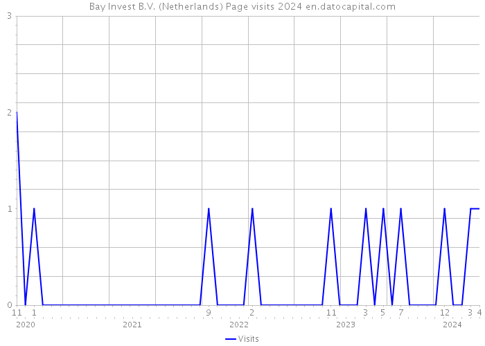 Bay Invest B.V. (Netherlands) Page visits 2024 