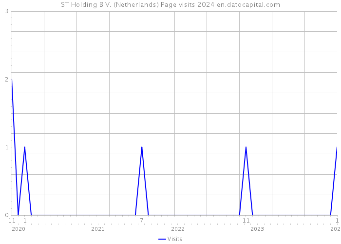 ST Holding B.V. (Netherlands) Page visits 2024 