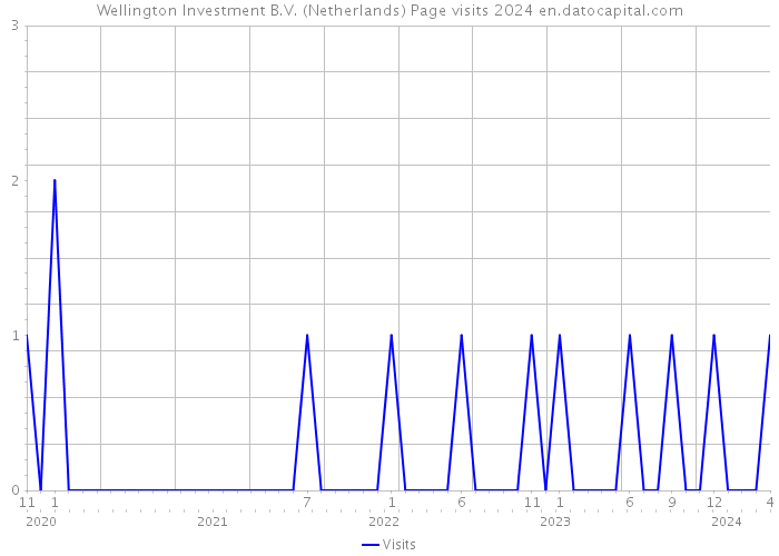 Wellington Investment B.V. (Netherlands) Page visits 2024 