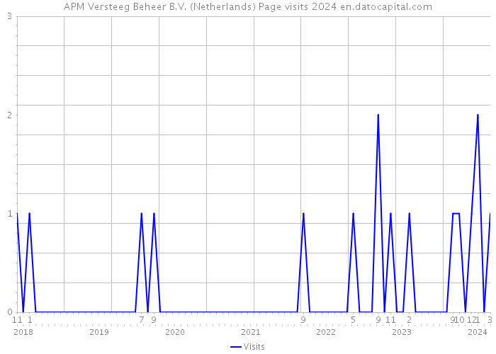 APM Versteeg Beheer B.V. (Netherlands) Page visits 2024 