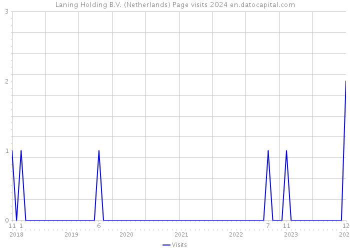 Laning Holding B.V. (Netherlands) Page visits 2024 