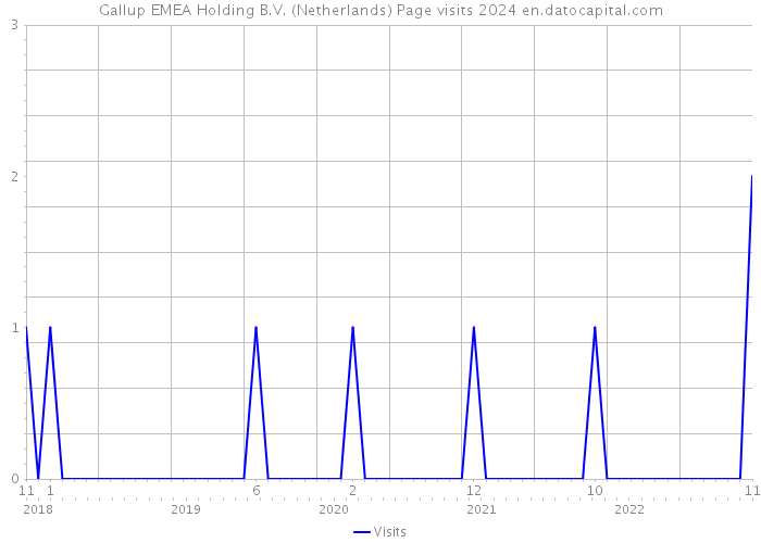 Gallup EMEA Holding B.V. (Netherlands) Page visits 2024 