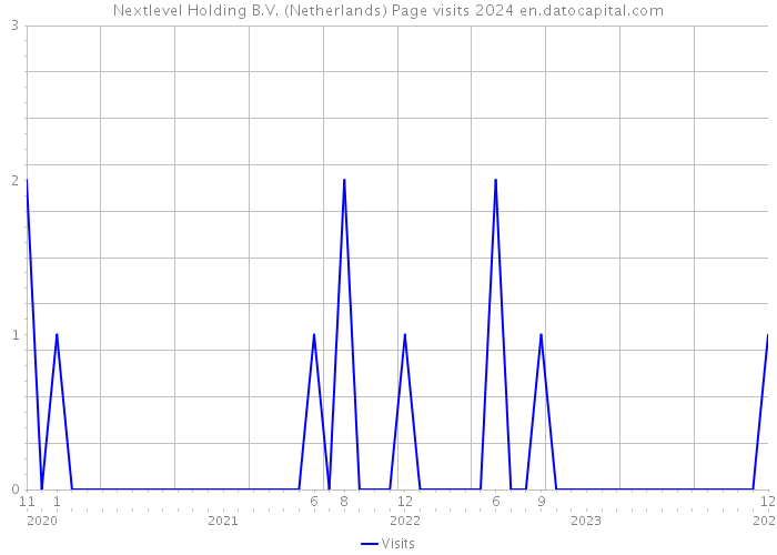 Nextlevel Holding B.V. (Netherlands) Page visits 2024 