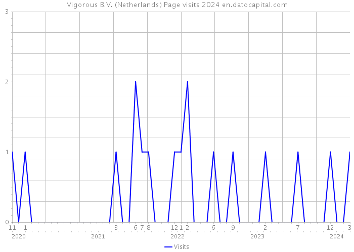 Vigorous B.V. (Netherlands) Page visits 2024 