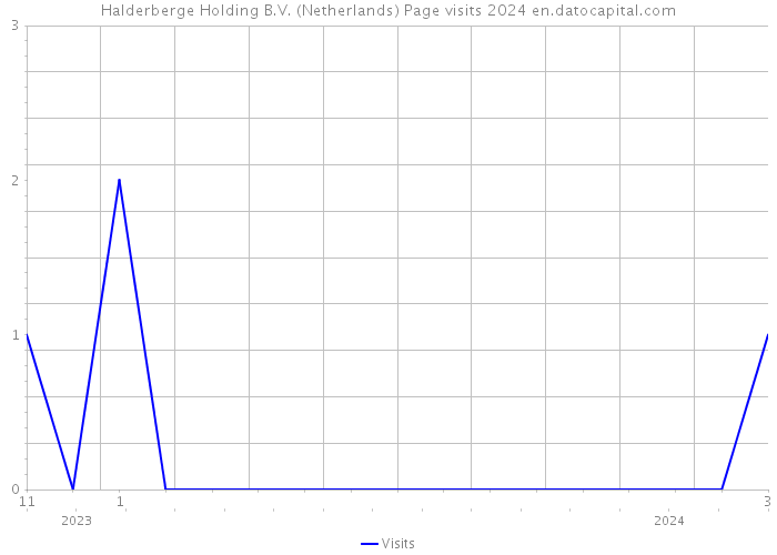 Halderberge Holding B.V. (Netherlands) Page visits 2024 