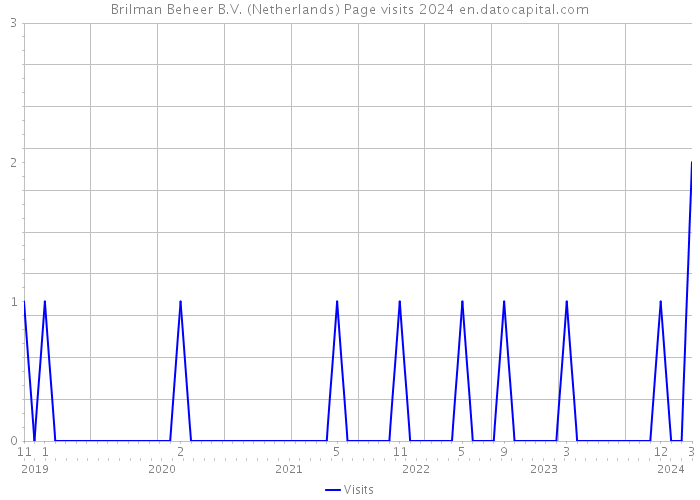 Brilman Beheer B.V. (Netherlands) Page visits 2024 