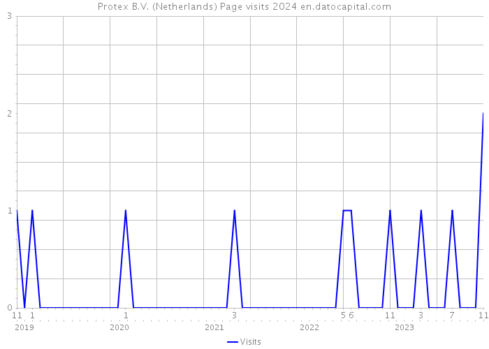 Protex B.V. (Netherlands) Page visits 2024 