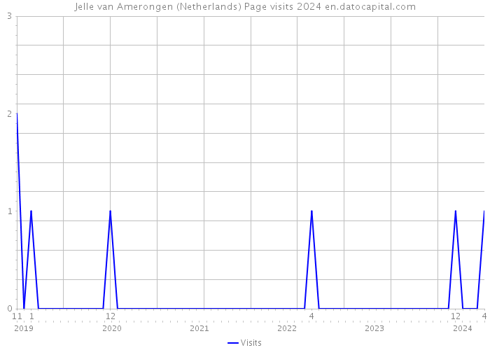Jelle van Amerongen (Netherlands) Page visits 2024 