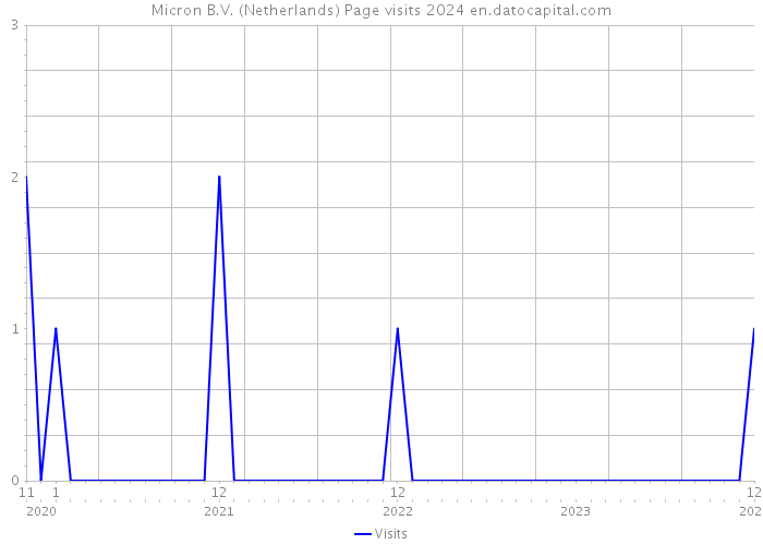 Micron B.V. (Netherlands) Page visits 2024 