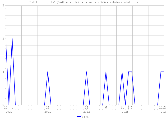 Colt Holding B.V. (Netherlands) Page visits 2024 