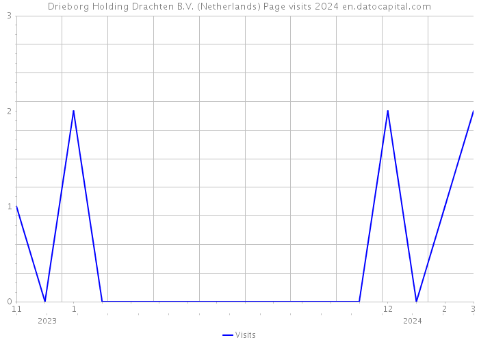 Drieborg Holding Drachten B.V. (Netherlands) Page visits 2024 