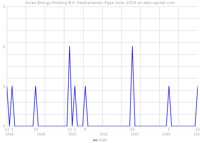 Asian Energy Holding B.V. (Netherlands) Page visits 2024 
