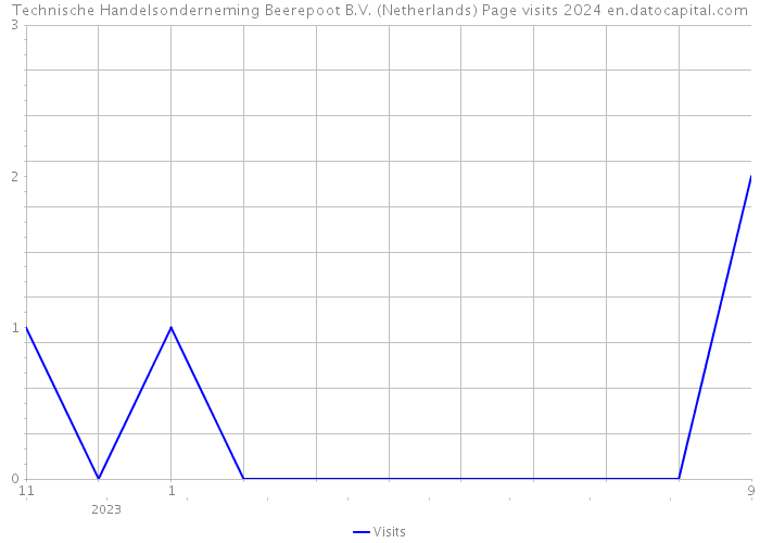 Technische Handelsonderneming Beerepoot B.V. (Netherlands) Page visits 2024 