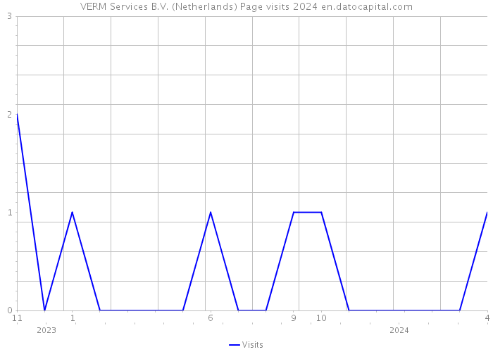 VERM Services B.V. (Netherlands) Page visits 2024 