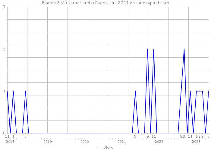 Baaten B.V. (Netherlands) Page visits 2024 