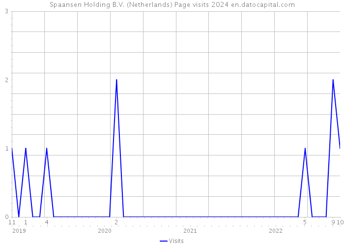 Spaansen Holding B.V. (Netherlands) Page visits 2024 