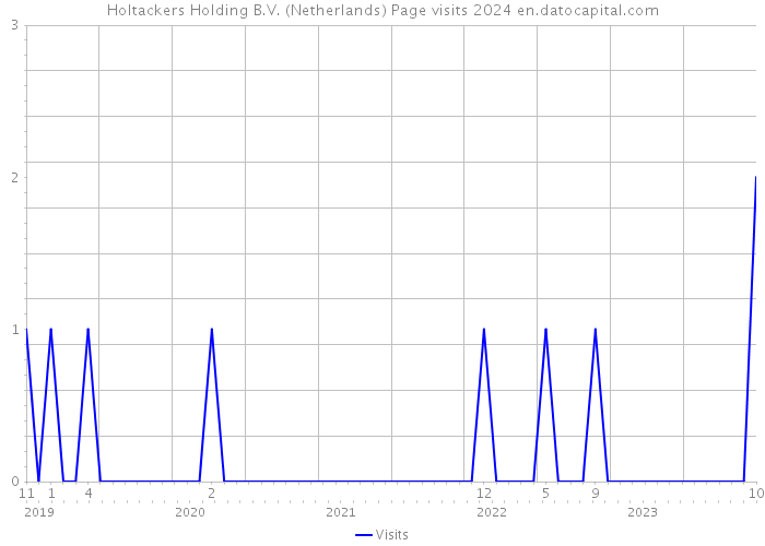 Holtackers Holding B.V. (Netherlands) Page visits 2024 