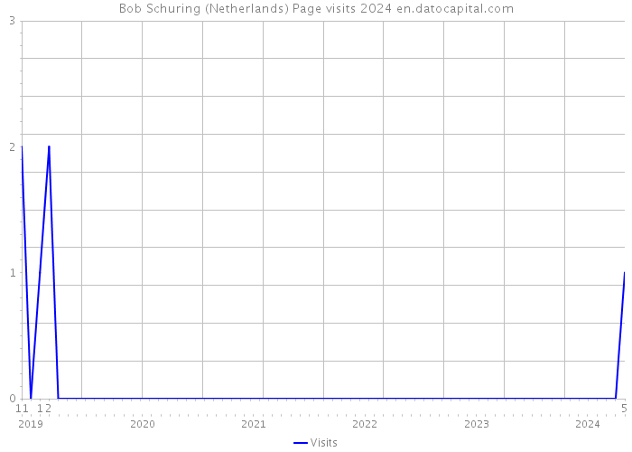 Bob Schuring (Netherlands) Page visits 2024 
