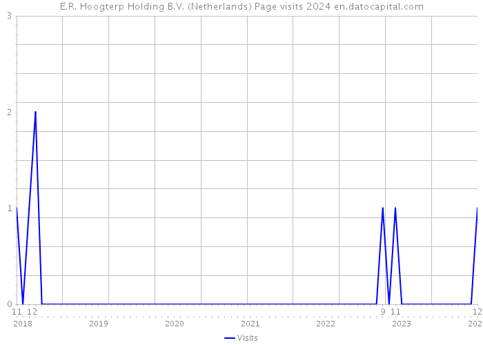 E.R. Hoogterp Holding B.V. (Netherlands) Page visits 2024 