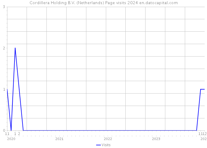 Cordillera Holding B.V. (Netherlands) Page visits 2024 