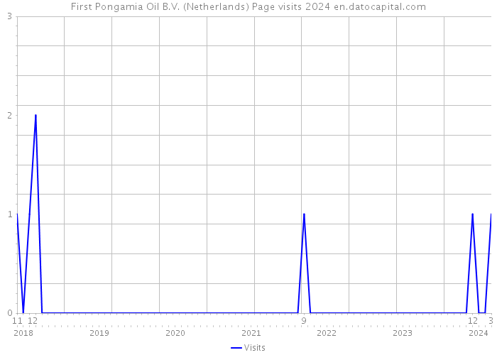 First Pongamia Oil B.V. (Netherlands) Page visits 2024 