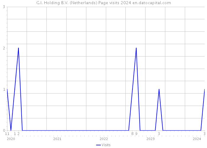 G.I. Holding B.V. (Netherlands) Page visits 2024 
