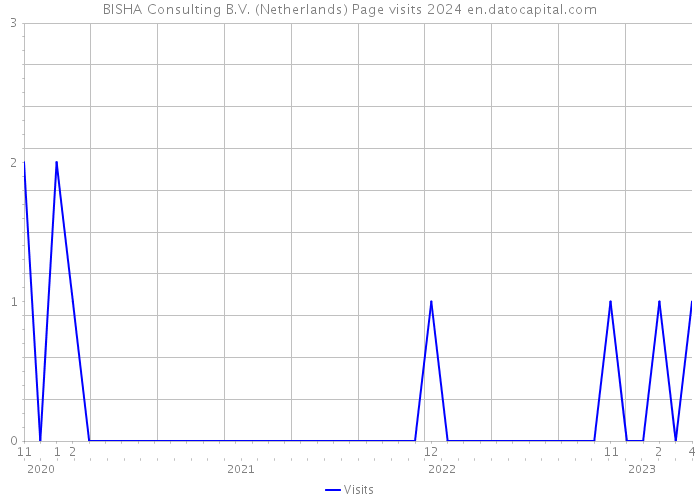 BISHA Consulting B.V. (Netherlands) Page visits 2024 