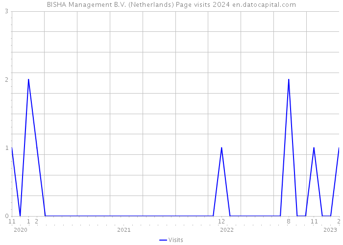BISHA Management B.V. (Netherlands) Page visits 2024 