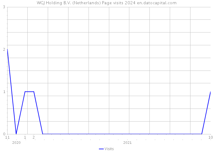 WGJ Holding B.V. (Netherlands) Page visits 2024 