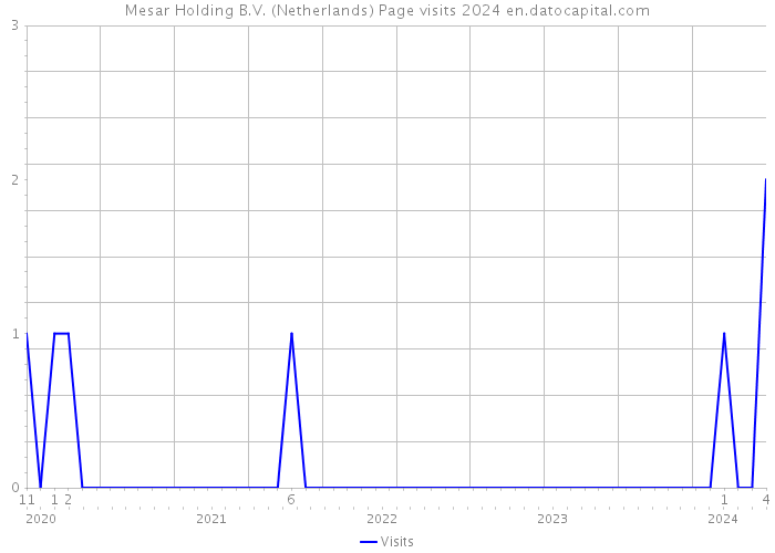 Mesar Holding B.V. (Netherlands) Page visits 2024 