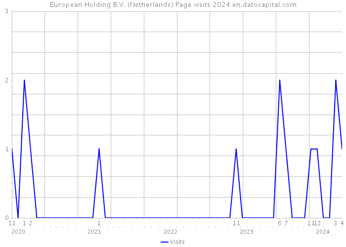 European Holding B.V. (Netherlands) Page visits 2024 