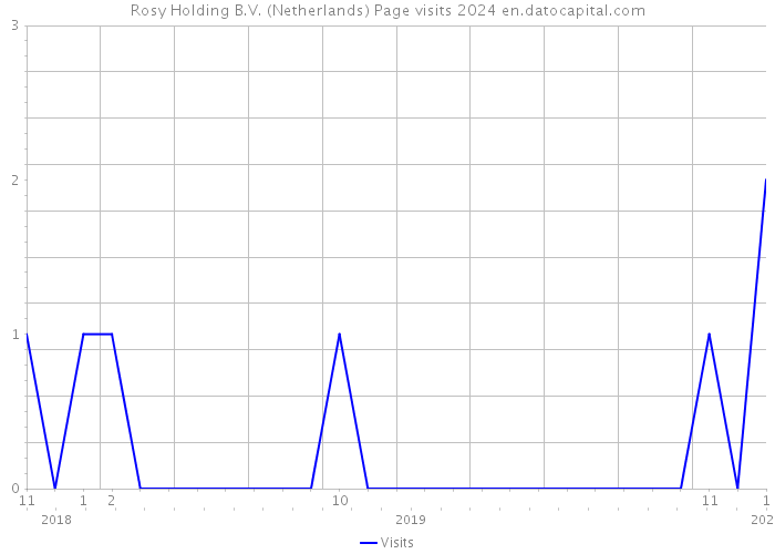 Rosy Holding B.V. (Netherlands) Page visits 2024 