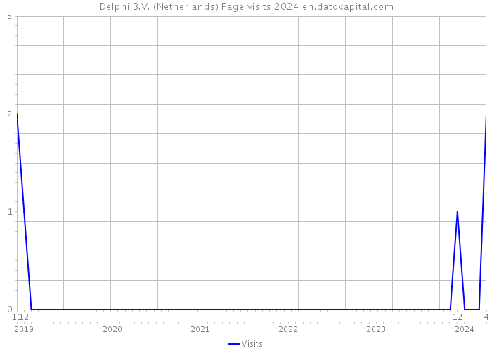 Delphi B.V. (Netherlands) Page visits 2024 