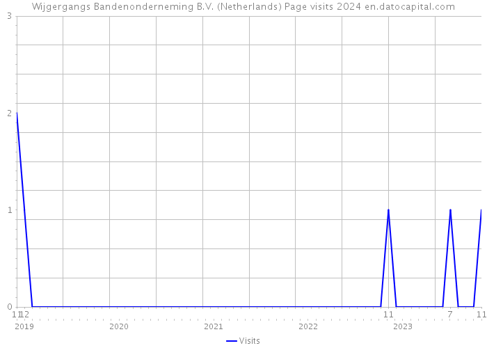 Wijgergangs Bandenonderneming B.V. (Netherlands) Page visits 2024 