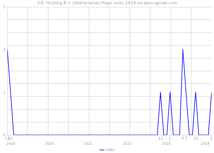 S.E. Holding B.V. (Netherlands) Page visits 2024 