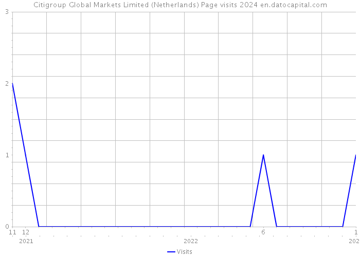 Citigroup Global Markets Limited (Netherlands) Page visits 2024 