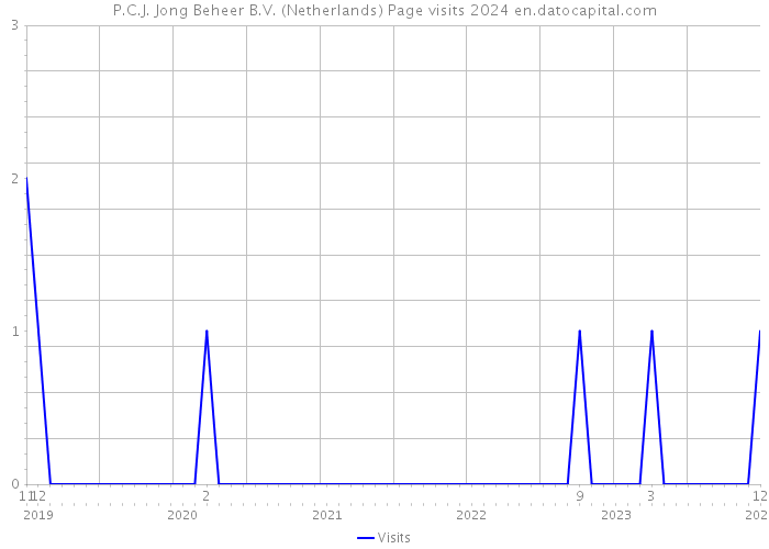 P.C.J. Jong Beheer B.V. (Netherlands) Page visits 2024 
