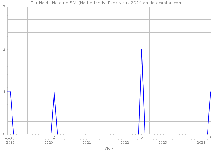 Ter Heide Holding B.V. (Netherlands) Page visits 2024 