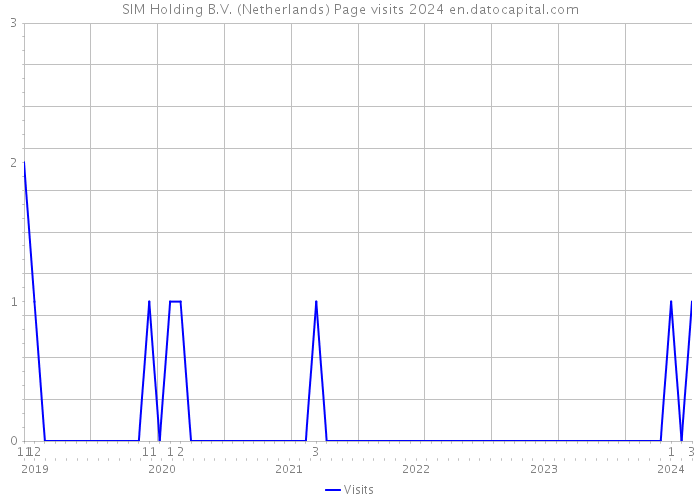 SIM Holding B.V. (Netherlands) Page visits 2024 