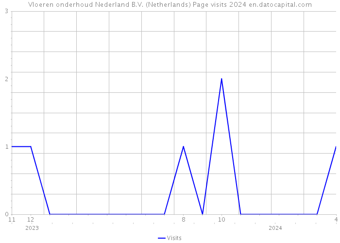 Vloeren onderhoud Nederland B.V. (Netherlands) Page visits 2024 