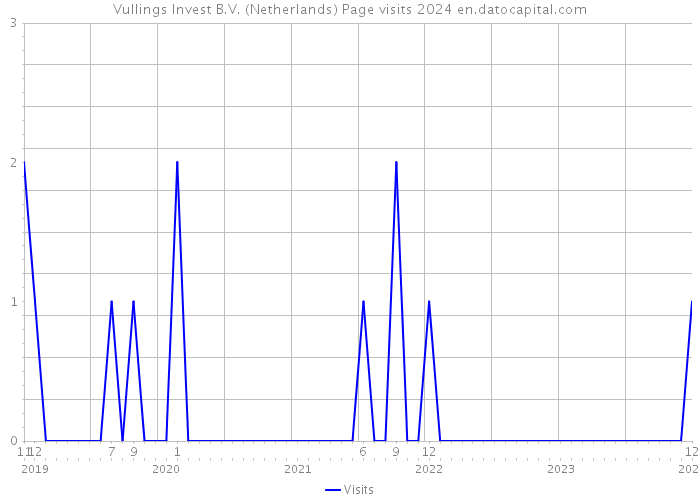 Vullings Invest B.V. (Netherlands) Page visits 2024 