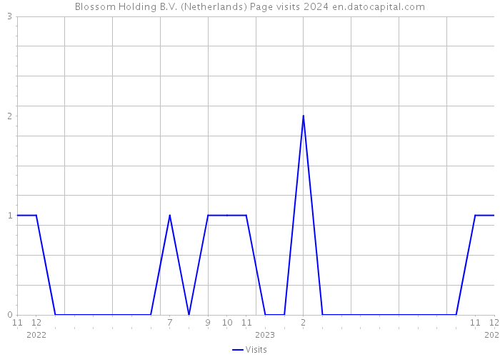 Blossom Holding B.V. (Netherlands) Page visits 2024 