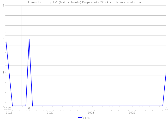 Truus Holding B.V. (Netherlands) Page visits 2024 