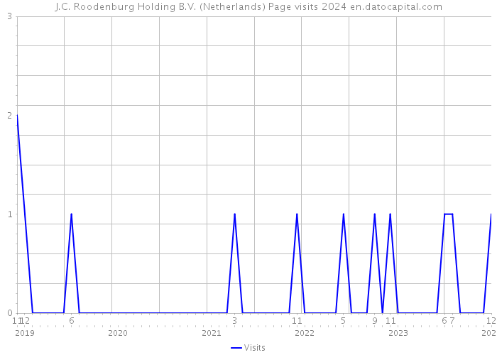 J.C. Roodenburg Holding B.V. (Netherlands) Page visits 2024 