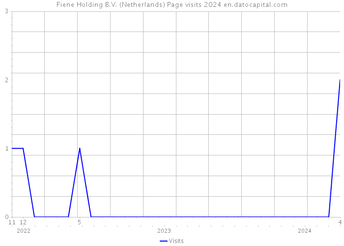 Fiene Holding B.V. (Netherlands) Page visits 2024 