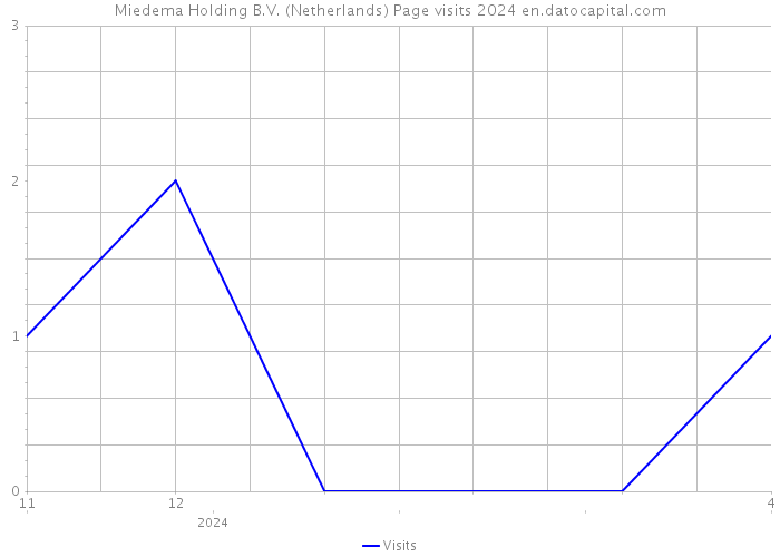 Miedema Holding B.V. (Netherlands) Page visits 2024 