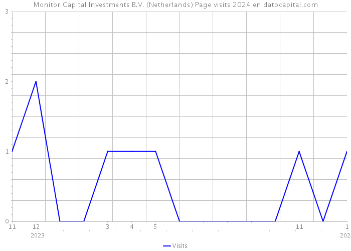 Monitor Capital Investments B.V. (Netherlands) Page visits 2024 
